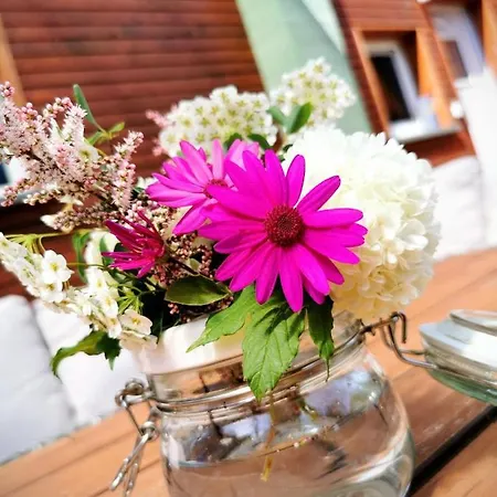 Apartman Sophia Liessow (Rostock)